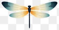 PNG Dragonfly wildlife insect animal. 