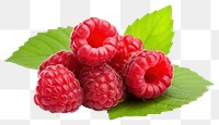 PNG Ripe raspberries raspberry fruit plant. AI generated Image by rawpixel.