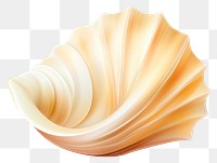 PNG Seashell white background invertebrate simplicity. AI generated Image by rawpixel.