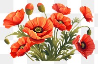 PNG Poppies flower poppy plant. AI generated Image by rawpixel.