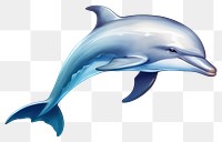 PNG Dolphin animal mammal fish. 