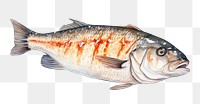 PNG Grilling a fish seafood sardine animal. AI generated Image by rawpixel.