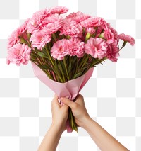 PNG Pink flower bouquet holding plant adult. AI generated Image by rawpixel.