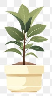 PNG Plant leaf houseplant flowerpot. AI generated Image by rawpixel.