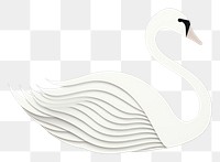 PNG Swan animal nature bird. 