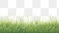 PNG Grass backgrounds outdoors nature. 