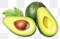 PNG Avocado fruit salad plant food  