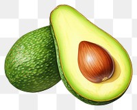 PNG Avocado fruit plant food white background. AI generated Image by rawpixel.