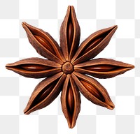 PNG Star anise white background ingredient echinoderm. 