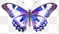 PNG Butterfly animal insect purple. AI generated Image by rawpixel.