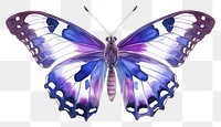 PNG Butterfly animal insect purple. 