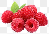 PNG Raspberry fruit plant food. .