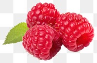 PNG Raspberry fruit plant food. 