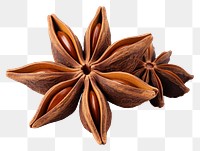 PNG Star anise spice fruit food white background ingredient. 