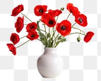 PNG Vase flower poppy plant. 