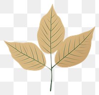 PNG Green leaf plant tree pattern. 