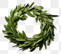 PNG Wreath leaf plant  