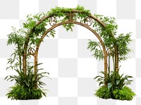 PNG Arch outdoors nature garden. 