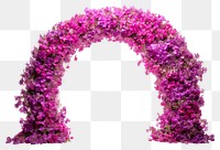 PNG Arch flower purple plant. 