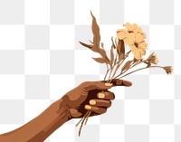 PNG Dried flower sketch plant hand. AI generated Image by rawpixel.