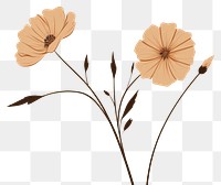 PNG Dried flower pattern drawing sketch. 