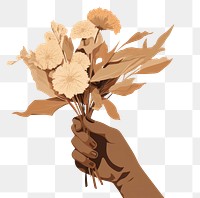 PNG Dried flower sketch plant hand. 