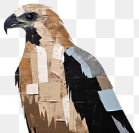 PNG Hawk art painting animal. AI generated Image by rawpixel.