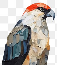 PNG Hawk art painting animal. 