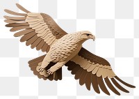 PNG Hawk vulture buzzard animal. AI generated Image by rawpixel.