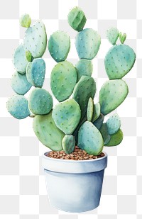 PNG Opuntia plant cactus white background houseplant. AI generated Image by rawpixel.