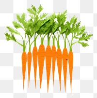 PNG Sliced carrots vegetable plant herbs. 