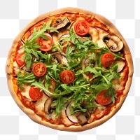 PNG Vegetable arugula pizza food