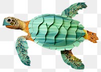 PNG Sea turtle reptile animal white background. AI generated Image by rawpixel.