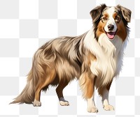 PNG Australian Shepherd Dog dog mammal animal. 