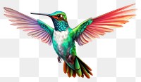 PNG Hummingbird hummingbird drawing animal. 
