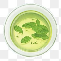 PNG Green tea drink herbs leaf. 