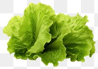 PNG Fresh lettuce vegetable plant food. 