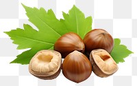 PNG Hazelnuts vegetable plant food. AI generated Image by rawpixel.