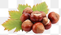 PNG Hazelnuts vegetable plant food. AI generated Image by rawpixel.