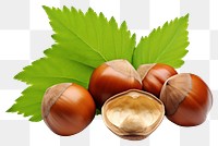 PNG Hazelnuts plant food leaf. AI generated Image by rawpixel.