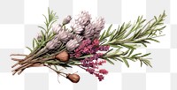 PNG Herbs lavender flower plant. AI generated Image by rawpixel.