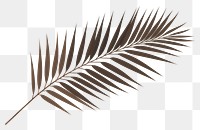 PNG Outdoors nature plant leaf. AI generated Image by rawpixel.