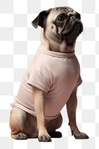 PNG Dog animal mammal pug. AI generated Image by rawpixel.