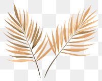 PNG Two palm leaves backgrounds pattern plant. 