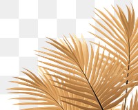 PNG Palm leaves backgrounds outdoors pattern. AI generated Image by rawpixel.