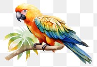 PNG Tropical bird parrot animal white background. AI generated Image by rawpixel.