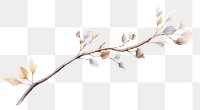 PNG Twig plant twig  