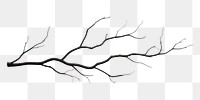 PNG Twig drawing sketch plant. 