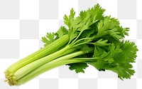 PNG Celery vegetable parsley plant. 