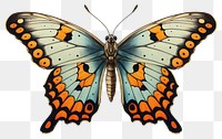 PNG Vintage butterfly animal insect magnification. 